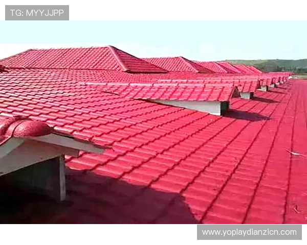 PG电子游戏平台的用户评价与口碑分析助你做出明智的选择